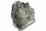 Green Cubic Fluorite Crystal Cluster on Matrix - China #323071-1